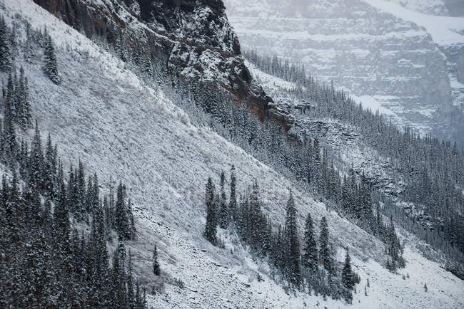 Vue panoramique de la chaîne de montagnes enneigées en hiver — Photo de stock
