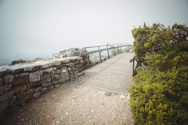 Ponte pedonale in legno nella regione montuosa con tempo nebbioso — Foto stock