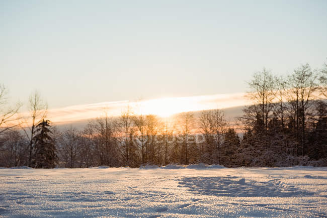 Vue du paysage enneigé en hiver — Photo de stock