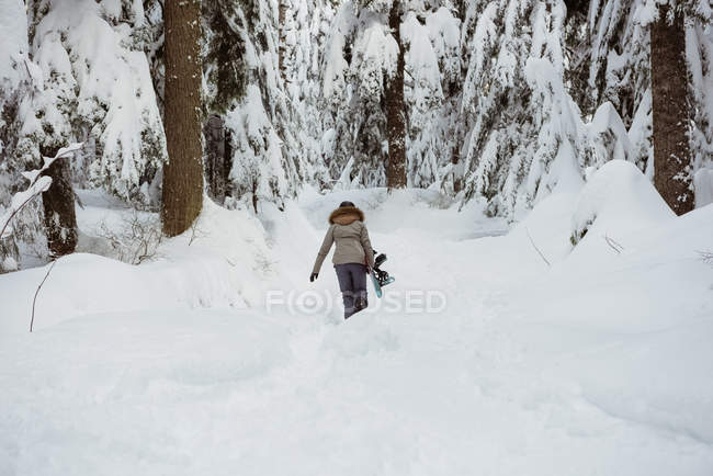 Vue arrière du skieur féminin marchant avec ski sur un paysage enneigé — Photo de stock