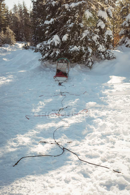 Порожній саней біля дерева на сніжний пейзаж — стокове фото