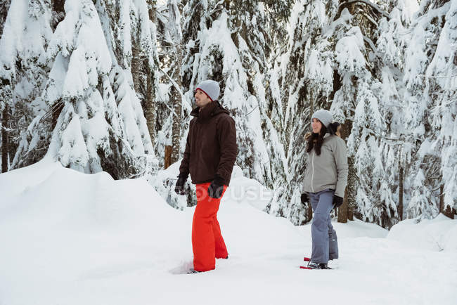 Couple skieur marchant sur une montagne enneigée — Photo de stock