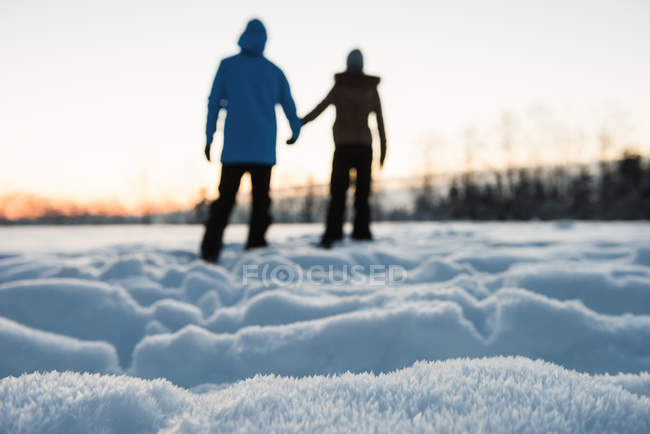 Vista trasera de la pareja de pie en la montaña cubierta de nieve - foto de stock