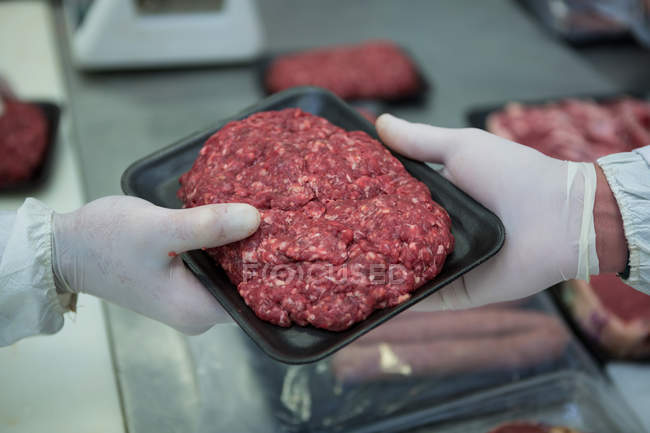 Butchers packing minced meat in plastic packaging tray at meat factory — Stock Photo