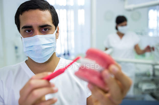 Мужчина-стоматолог моет модель челюсти с зубной щеткой в клинике — стоковое фото