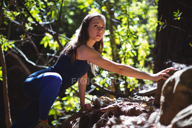Жінка ходить по горі в лісі в сонячний день — стокове фото