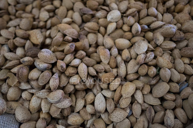 Close-up of almonds with shell — Stock Photo