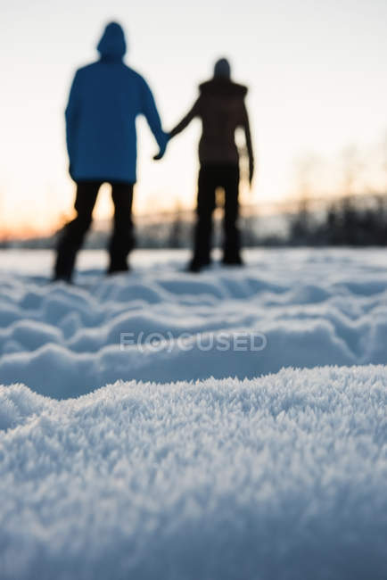 Вид сзади пары, стоящей на заснеженной горе — стоковое фото