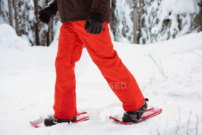 Unterer Abschnitt des Skifahrers, der mit Schneeschuhen durch verschneite Landschaft geht — Stockfoto