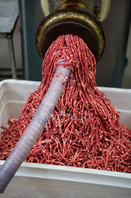 Viande hachée sortant du broyeur à l'usine de viande — Photo de stock