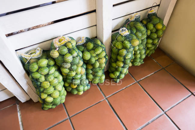 Закри свіжих лимонів в мережі — стокове фото
