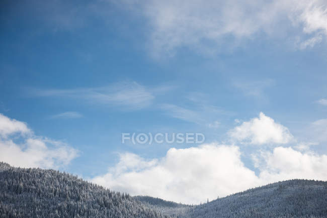 Floresta de montanha coberta de neve em Banff, Alberta, Canadá — Fotografia de Stock