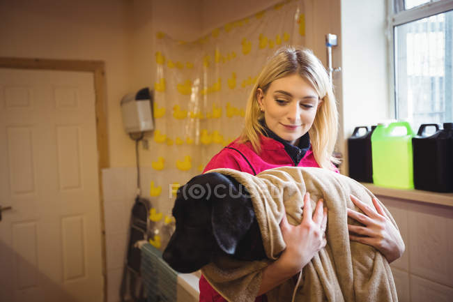 Frau hält Hund in Badetuch in Hundezentrum — Stockfoto