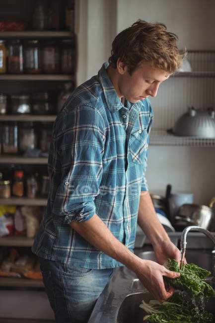 Hombre lavado de verduras en la cocina en casa - foto de stock