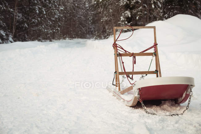 Trineo vacío en nieve durante el invierno - foto de stock