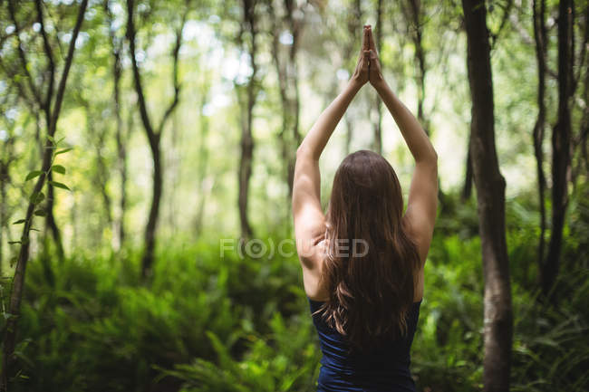 Вид ззаду жінки, що виконує йогу в лісі в сонячний день — стокове фото