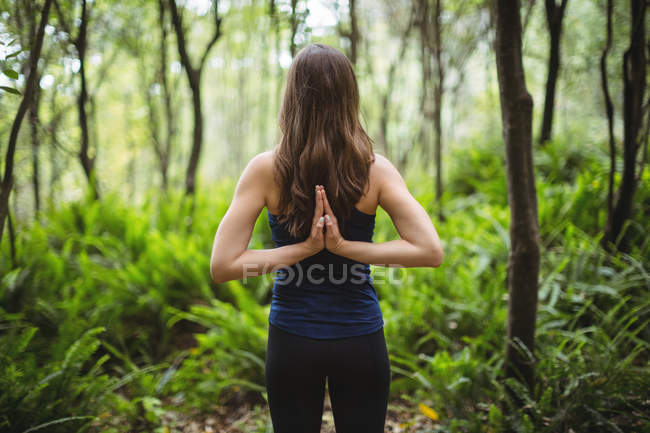 Vue arrière de la femme effectuant du yoga en forêt par une journée ensoleillée — Photo de stock