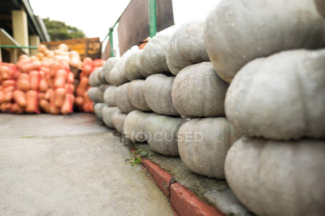Крупним планом складені гарбузи на ринку — стокове фото