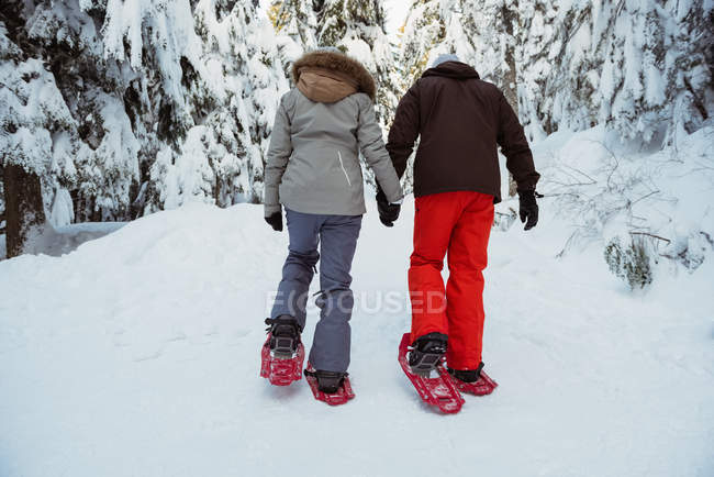 Вид спереду пари лижників, що ходять по засніженій горі — стокове фото