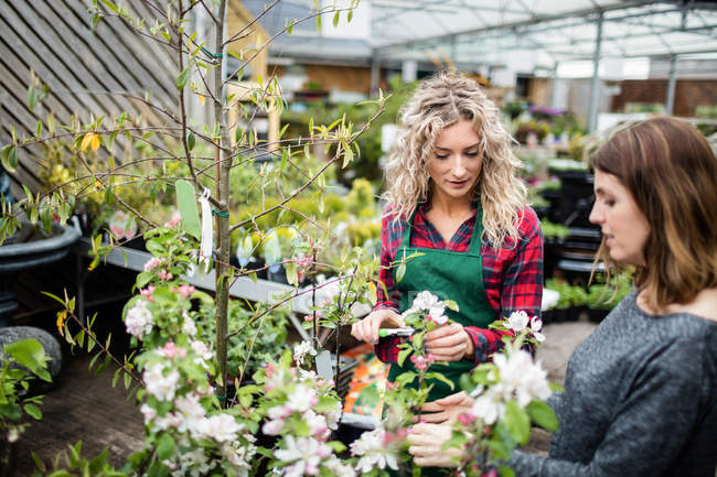 Florists looking at flowers in garden centre — Stock Photo
