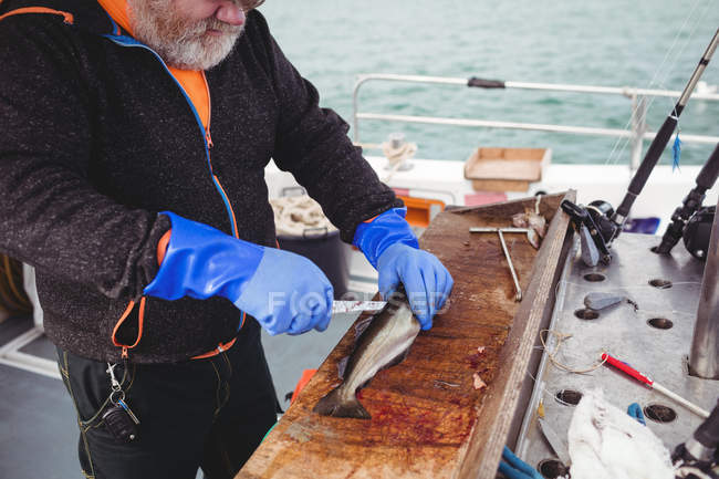 Обрезанное изображение рыбака, филе рыбы в лодке — стоковое фото