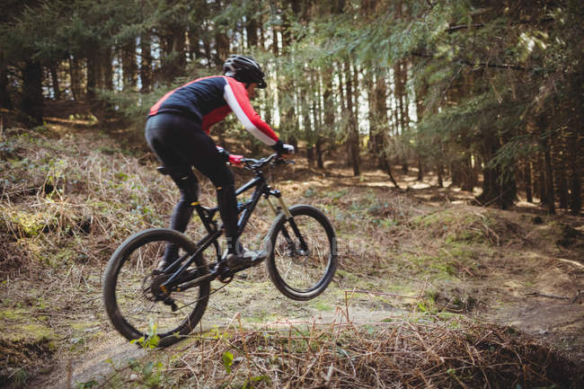 Верховая езда на горном велосипеде по грунтовой дороге в лесах — стоковое фото