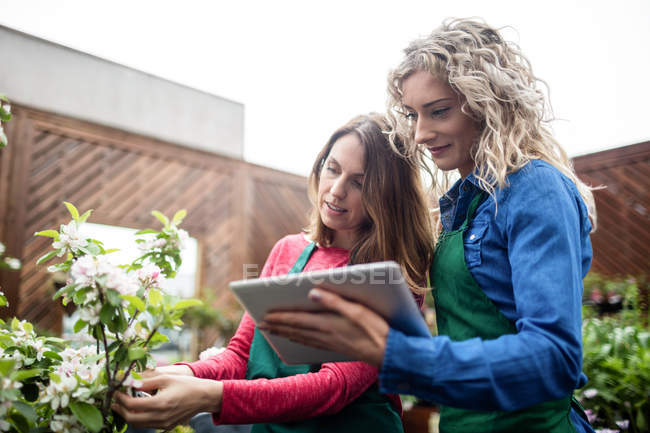 Dos floristas femeninas usando tableta digital mientras revisan plantas en el centro del jardín - foto de stock
