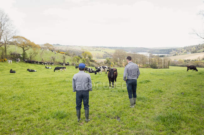 Вид ззаду на фермерів, що стоять на трав'янистому полі — стокове фото