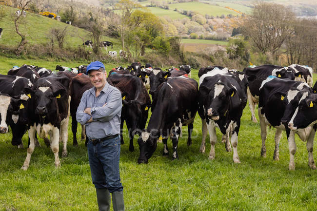 Porträt eines glücklichen Bauern, der gegen Kühe auf dem Feld steht — Stockfoto
