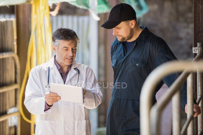 Vet and farm worker discussing over digital tablet by fence at barn — Stock Photo