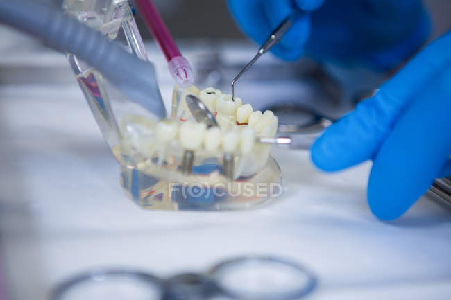 Imagem recortada de dentista trabalhando em modelo bucal com ferramentas odontológicas na clínica odontológica — Fotografia de Stock