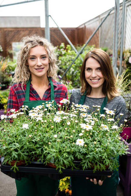 Retrato de floristas femeninas sosteniendo bandeja de plantas en maceta en el centro del jardín - foto de stock
