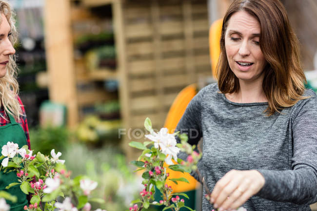 Жінка говорити про рослин у Садовий центр флорист — стокове фото