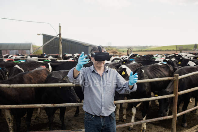 Farm worker using virtual reality simulator by fence at barn — Stock Photo