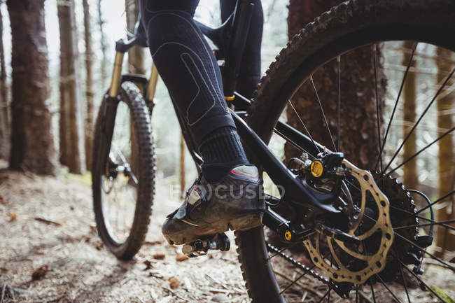 Low section of cyclist by trees in woodland — Stock Photo
