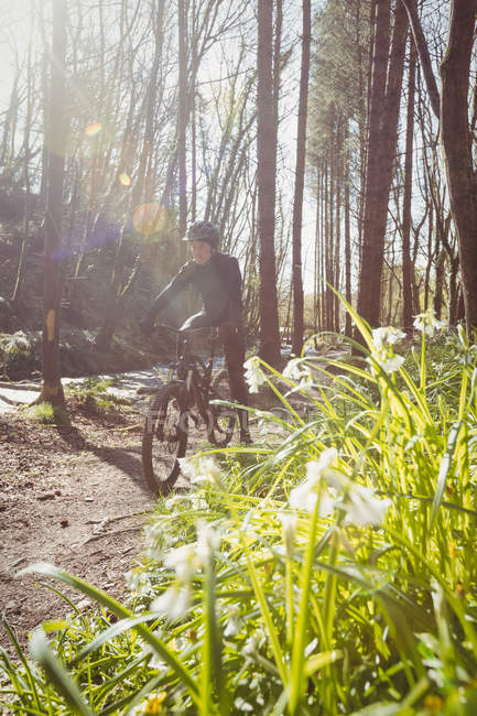 Montanha ciclista andando na floresta no dia ensolarado — Fotografia de Stock