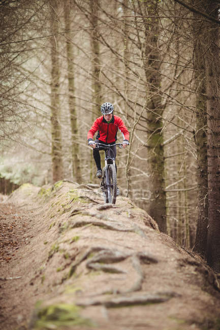 Vorderansicht männlicher Biker auf Feldweg im Wald unterwegs — Stockfoto
