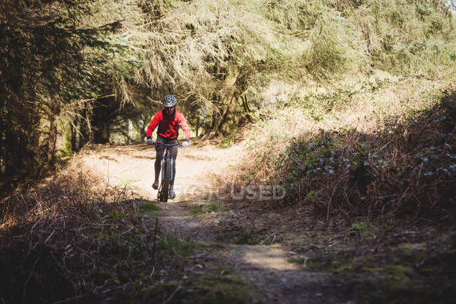 Montanha motociclista andando na estrada de terra por árvores na floresta — Fotografia de Stock