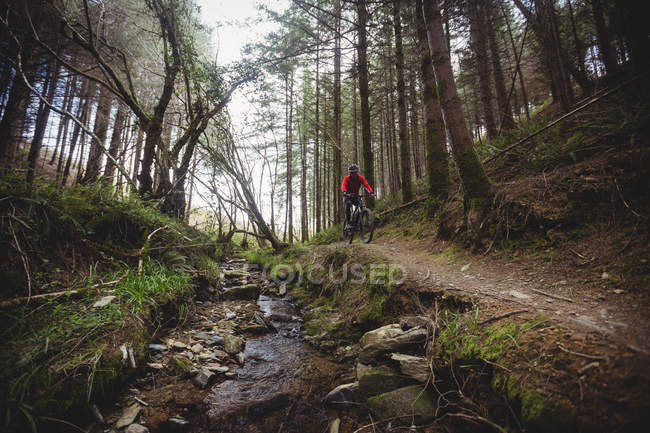 Montanha motociclista andando em trilha por fluxo na floresta — Fotografia de Stock