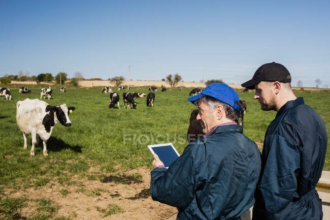Colaboradores con tableta digital de pie en el campo contra el cielo despejado - foto de stock