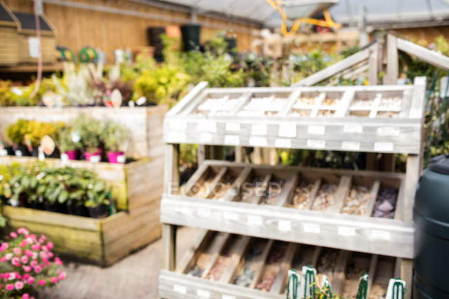 Selective focus of potted plants and wooden shelf in garden centre — Stock Photo