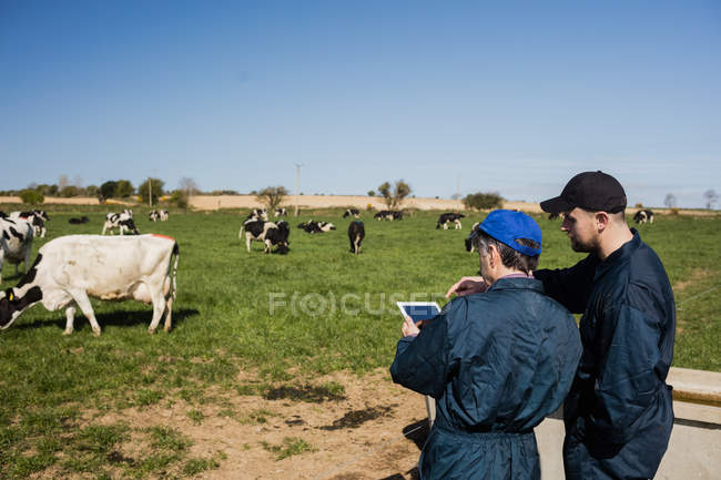 Campesinos discutiendo sobre tableta en el campo - foto de stock