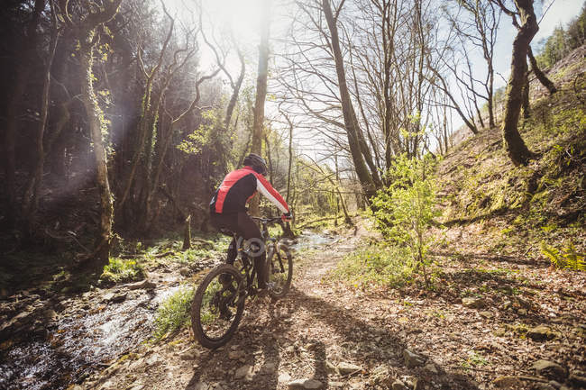 Rückansicht eines Radfahrers, der im Wald an einem Bach entlang fährt — Stockfoto
