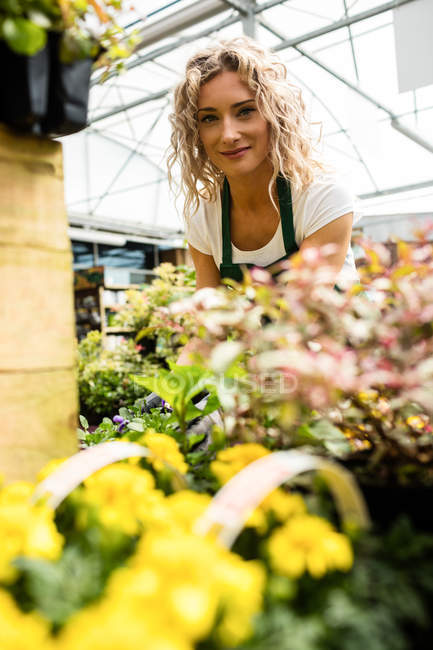 Portrait de fleuriste femelle vérifiant les fleurs dans le centre de jardin — Photo de stock