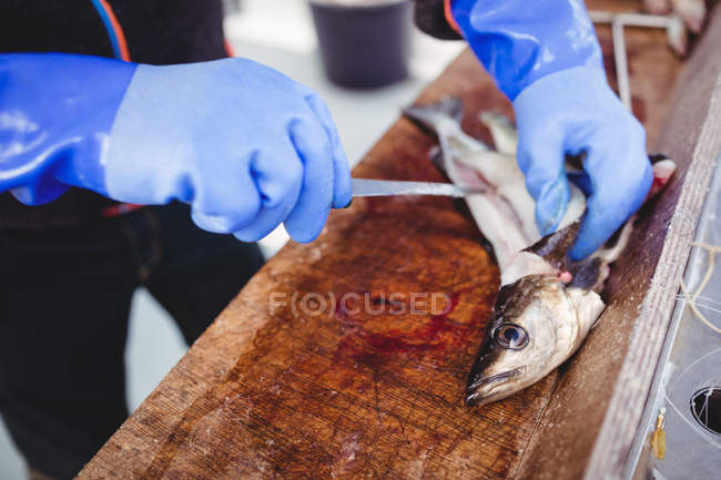 Cropped image of fisherman filleting fish on boat — Stock Photo