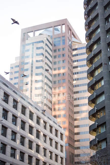 Urban scene of office buildings in daylight — Stock Photo