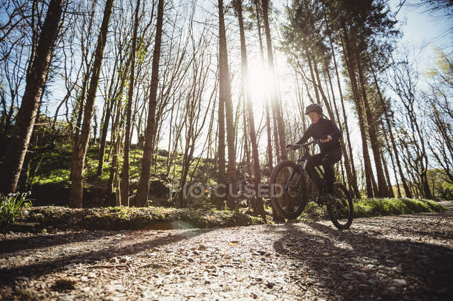 Mountain biker riding on dirt road by trees in forest — Stock Photo