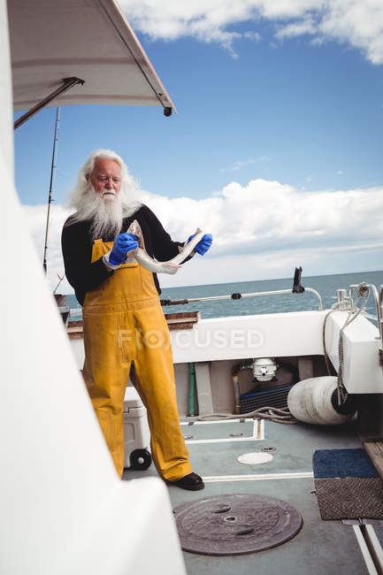 Senior Fisherman holding fish on boat — Stock Photo