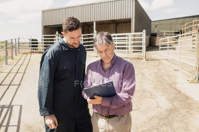 Ouvrier agricole et vétérinaire regardant dans le presse-papiers contre la grange le jour ensoleillé — Photo de stock