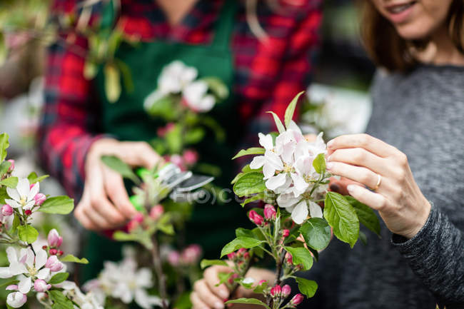 Розрив жінки, що перевіряє квіти в садовому центрі — стокове фото